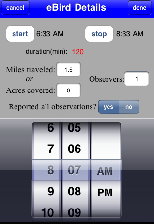 Screen shot 2011-04-22 at 8.07.26 AM.png